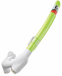 large gs3179 elgreen